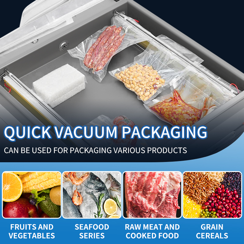 Dz-400 Professional  Desktop V - Food Vacuum Sealer reseña y precio
