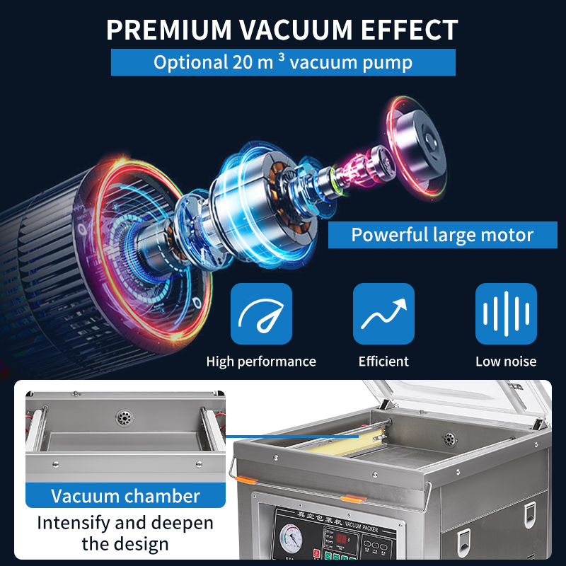 Dz-400 Professional  Desktop V - Food Vacuum Sealer reseña y precio