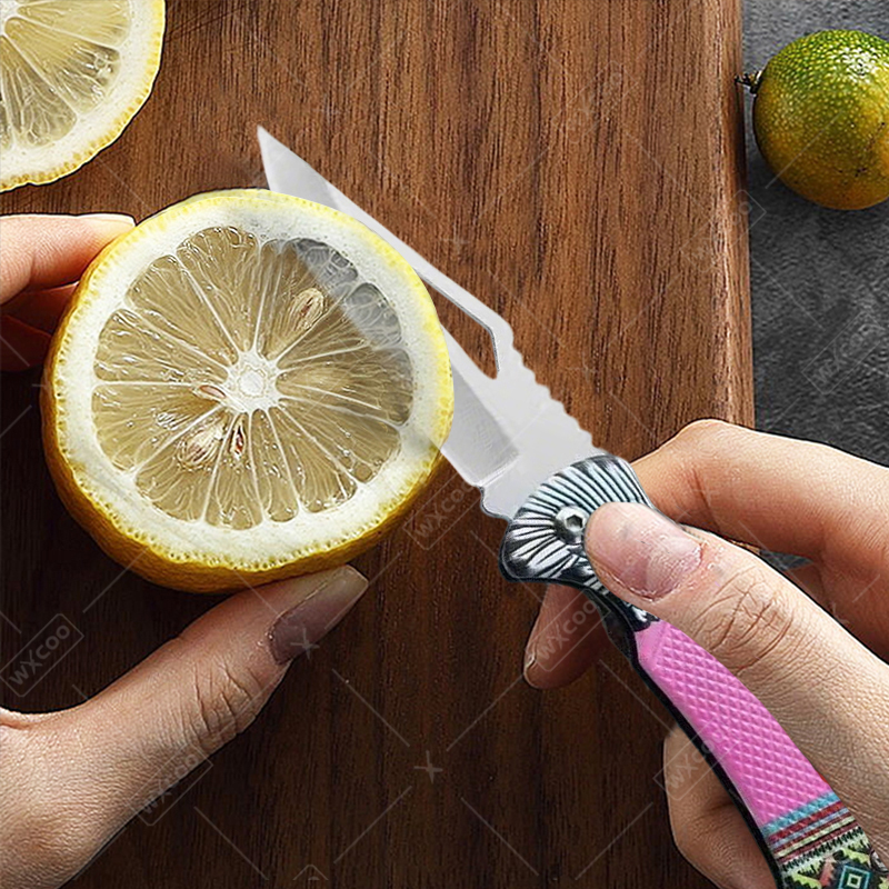 WXCOO Folding Knife Stainless  - Kitchen Gadgets Sale reseña y precio