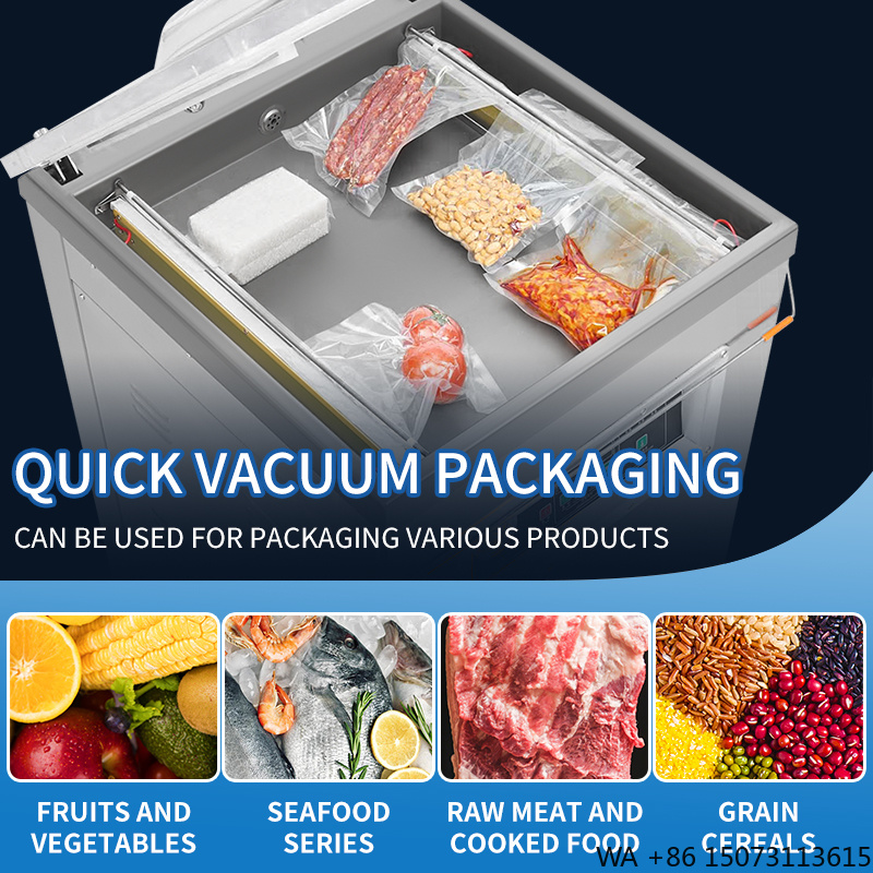 DZ-500  Vertical Single Chambe - Food Vacuum Sealer reseña y precio