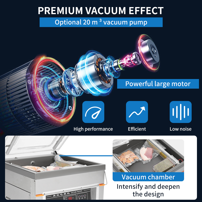 DZ-500  Vertical Single Chambe - Food Vacuum Sealer reseña y precio