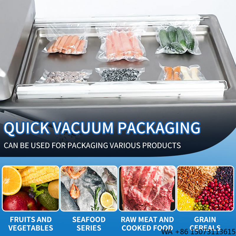 DZ-500 Commercial Vacuum Seale - Food Vacuum Sealer reseña y precio