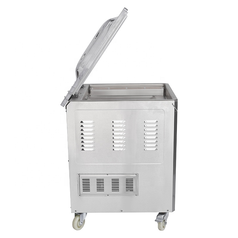Fubei DZ-500 2Evacuum Sealer/s - Food Vacuum Sealer reseña y precio
